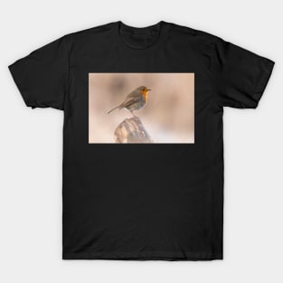 Robin perch T-Shirt